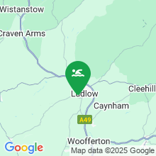 River Teme in Ludlow